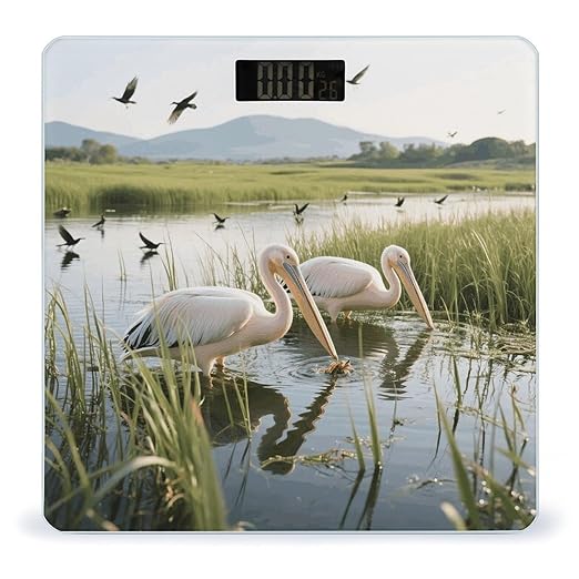 2 Pelicans Weight Scale Large Digital Bathroom Scales with Bright LED Display Non Slip Digital Scale and Step On Fashion Weighing Machine for Body
