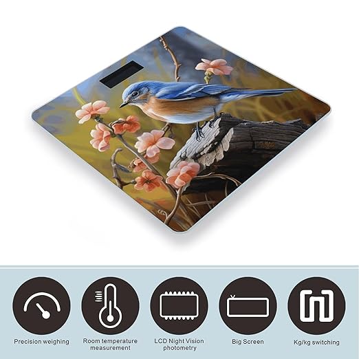 Eastern Bluebird Weight Scale Large Bathroom Scales Digital Weight with Bright LED Display Non Slip Automatic Weighing Scale Fashion Weighing Machine for Body