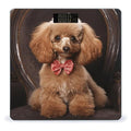 Poodle Scale for Body Weight Anti-Slip Tempered Glass Digital Bathroom Scales Clear LCD Display Weighing Scale Safe Rounded Corners Smart Scales