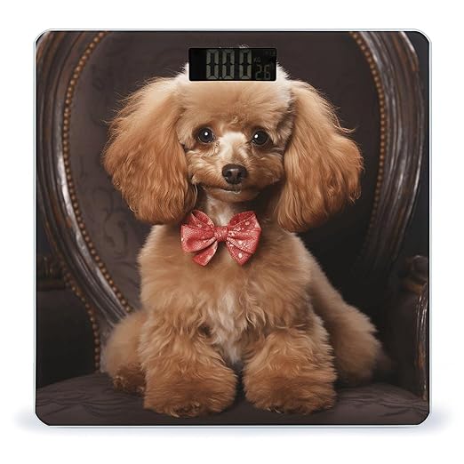 Poodle Scale for Body Weight Anti-Slip Tempered Glass Digital Bathroom Scales Clear LCD Display Weighing Scale Safe Rounded Corners Smart Scales