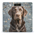 Brown Labrador Retriever Scale for Body Weight Accurate Digital Bathroom Scale Toughened Glass High Precision Scales Smart Weight Scales with Large LCD Backlight Display Weighing Machine