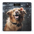 Happy Dog in Rain Scale for Body Weight Accurate Digital Bathroom Scale Toughened Glass High Precision Scales Smart Weight Scales with Large LCD Backlight Display Weighing Machine