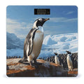 Penguin Print Bathroom Scale Rounded Smart Scale for Body Weight Automatic Power On/Off Weight Scales Accurate Bathroom Digital Scales for Pet Home Bedroom Kitchen