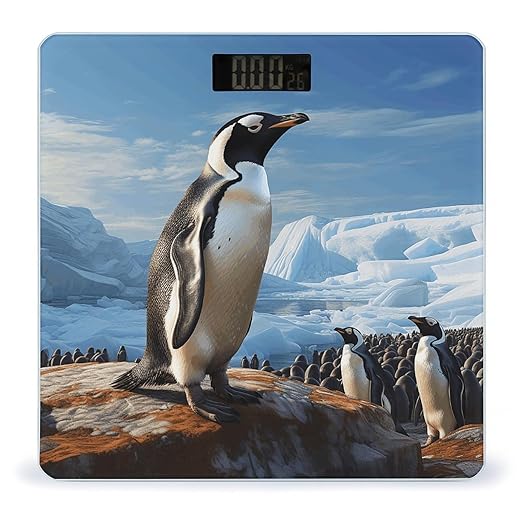Penguin Print Bathroom Scale Rounded Smart Scale for Body Weight Automatic Power On/Off Weight Scales Accurate Bathroom Digital Scales for Pet Home Bedroom Kitchen