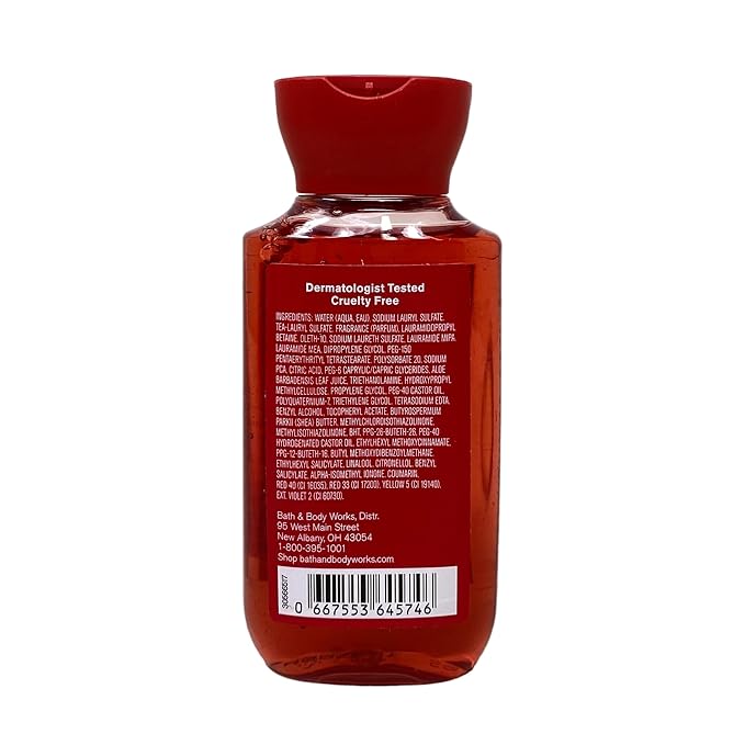Bath &amp Body Works You're The One 2 Pack Travel Size Shower Gel Bundle with a Natural Oats Sample Soap - Travel Size