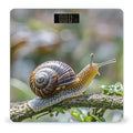 A Photo of A Snail Scale for Body Weight Sturdy Tempered Glass Weighing Scales with LCD Display Accurate Digital Bathroom Scale Convenient Body Fat Smart Scales Easy Read