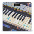 Piano Keys with Note Patterns Scale for Body Weight Digital Bathroom Scale Accurate Smart Weight Scales with Large Display Weighing Machine High Precision Scales