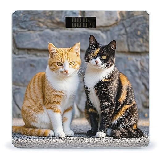 Cats Sitting Together Weight Scale Highly Accurate Digital Weighing Scale with Large LCD Display Smart Bathroom Scales for Home Bedrooms and Gift Giving