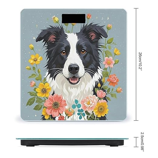 Border Collie Florals Scale for Body Weight Accurate Digital Bathroom Scale Toughened Glass High Precision Scales Smart Weight Scales with Large LCD Backlight Display Weighing Machine