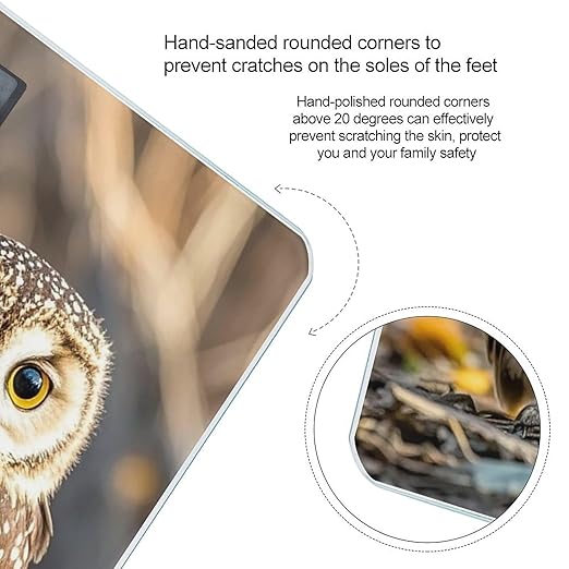 Real Cute Owls Scale for Body Weight Accurate Digital Bathroom Scale Toughened Glass High Precision Scales Smart Weight Scales with Large LCD Backlight Display Weighing Machine