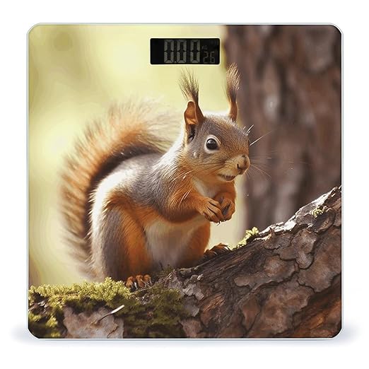 Funny Squirrel Bathroom Scale Large LCD Backlight Display Digital Scale Rounded Corners Body Scales Automatic Power On/Off Bathroom Scales for Home Bedrooms