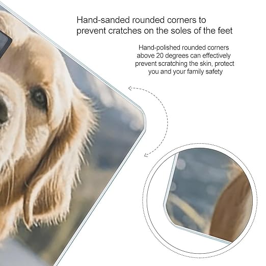Digital Bathroom Scale for Body Weight Scale with Bright LCD Display High Accuracy Step-On Technology Auto On/Off Golden Retrievers Digital Scales 400 Lbs /180kg
