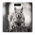 Light Gray Squirrel Bathroom Scale for Body Weight LCD Display Digital Bathroom Scale Tempered Glass Bathroom Weight Scales Fashion Smart Scales for Home Bedroom 400 Lb