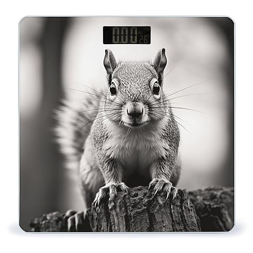 Light Gray Squirrel Bathroom Scale for Body Weight LCD Display Digital Bathroom Scale Tempered Glass Bathroom Weight Scales Fashion Smart Scales for Home Bedroom 400 Lb