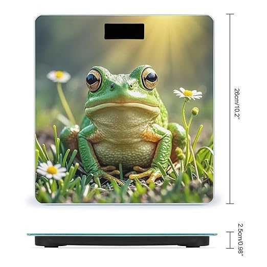 Cute Frog Scale for Body Weight Accurate Digital Bathroom Scale Toughened Glass High Precision Scales Smart Weight Scales with Large LCD Backlight Display Weighing Machine