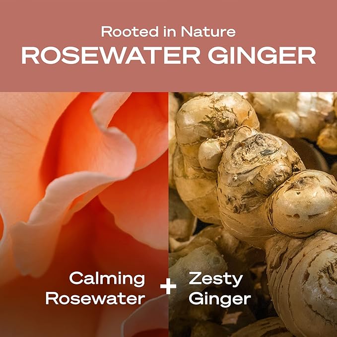 Hey Humans Rosewater Ginger Moisturizing Body Wash with Natural Ingredients &amp Jojoba Oil | Clean Vegan Sulfate Free Bath &amp Body Wash for Women | Recyclable Bottle 14 fl. oz. - Pack of 3