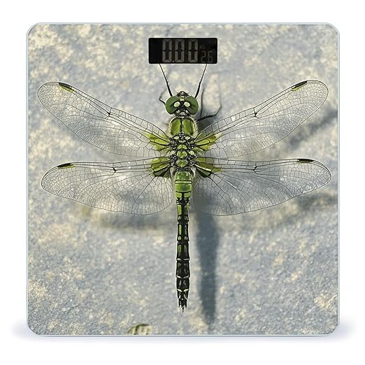Dragonfly Drawing Scale for Body Weight Digital Bathroom Scale Toughened Glass High Precision Scales for Body Weight with Large LCD Backlight Display Weight Scales