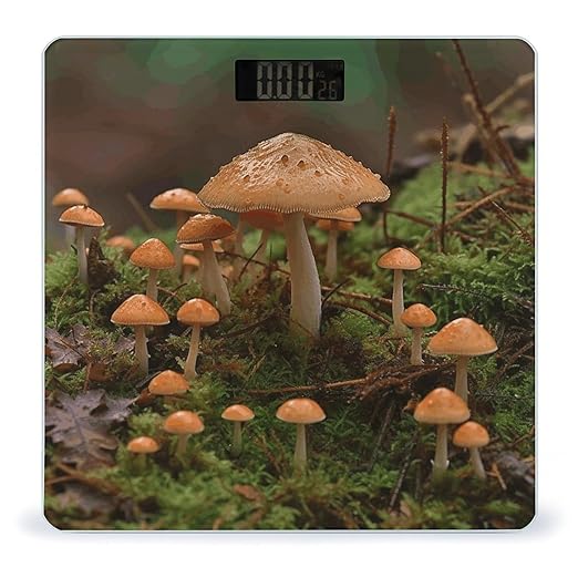 Wild Mushroom Digital Bathroom Scale for Body Weight Weighing Scale with Backlit LCD Display High Precision Measurements &amp Measures Weight Up to 180kg