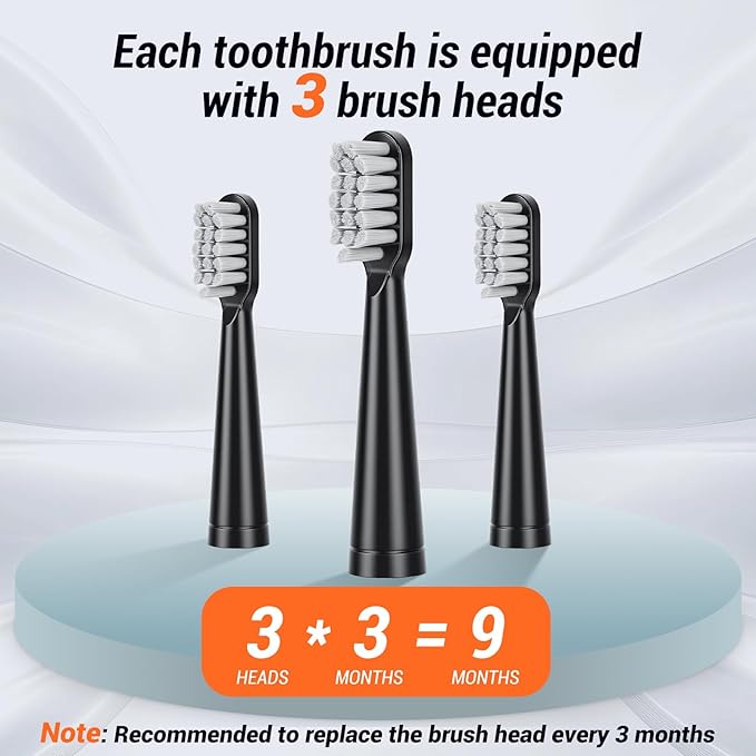10 Pack Rechargeable Sonic Electric Toothbrush 42000 VPM 6 Cleaning Modes Smart 2-Min Timer USB Rechargeable IPX7 Waterproof 4 Brush Heads