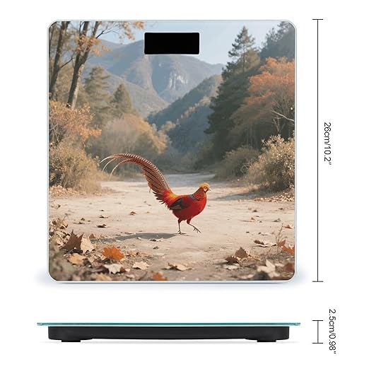 Golden Pheasant Scale for Body Weight Sturdy Tempered Glass Weighing Scales with LCD Display Accurate Digital Bathroom Scale Convenient Body Fat Smart Scales Easy Read
