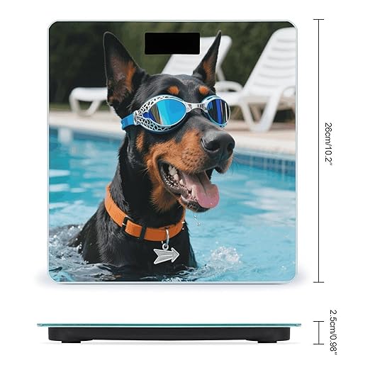 Doberman in Pool Scale for Body Weight Sturdy Tempered Glass Weighing Scales with LCD Display Accurate Digital Bathroom Scale Convenient Body Fat Smart Scales Easy Read