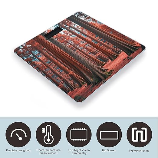 Muir Woods Scale for Body Weight Smart Scales Digital Bathroom Scale High Precision Weighing Scales with Large Display Weighing Machine for People