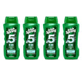 Irish-Spring 5-in-1 Shampoo Conditioner Body Wash Face Wash and Deodorizer 18 oz (Pack of 4)