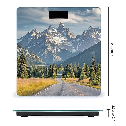 Grand Teton National Park Scale for Body Weight Digital Bathroom Scale Toughened Glass High Precision Scales for Body Weight with Large LCD Backlight Display Weight Scales