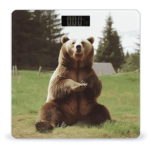 Hi Bear Sit on The Lawn Scale for Body Weight Sturdy Tempered Glass Weighing Scales with LCD Display Accurate Digital Bathroom Scale Convenient Body Fat Smart Scales 400lb