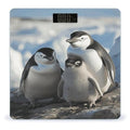 Penguin Family Bathroom Scale Ultra-Bright Liquid Crystal Screen Weight Scale Accurate Bathroom Body Scales for Body Weight Bathroom Pet Home Bedroom Gift-Giving