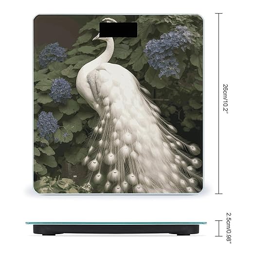 White Peacock Bathroom Scale Automatic Power On/Off Body Scales LCD Backlight Display Square Digital Scale Rounded Corners Bathroom Scales for Home Bedrooms