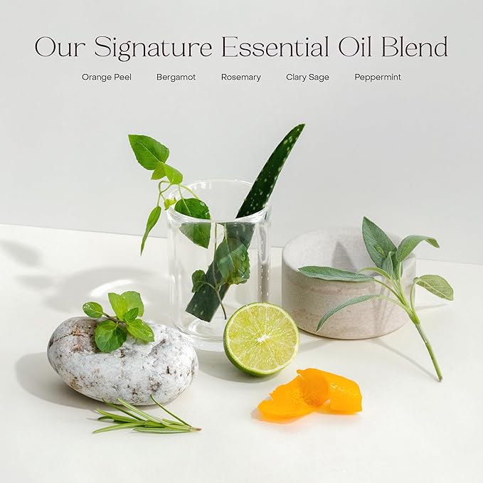 Everist The Hydrating Body Duo Bundle Tin The Body Wash Concentrate Tin 3.4 fl oz The Compostable Konjac Sponge