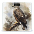 Watercolor of Hawk Sitting in The Tree Weight Scale Large Bathroom Scales Digital Weight with Bright LED Display Non Slip Automatic Weighing Scale Fashion Weighing Machine for Body