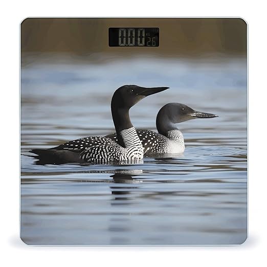 Loon Birds Scale for Body Weight High Precision Digital Weight Scales with LCD Display Anti-Slip Sturdy Slim Tempered Glass Bathroom Scale for Home Use