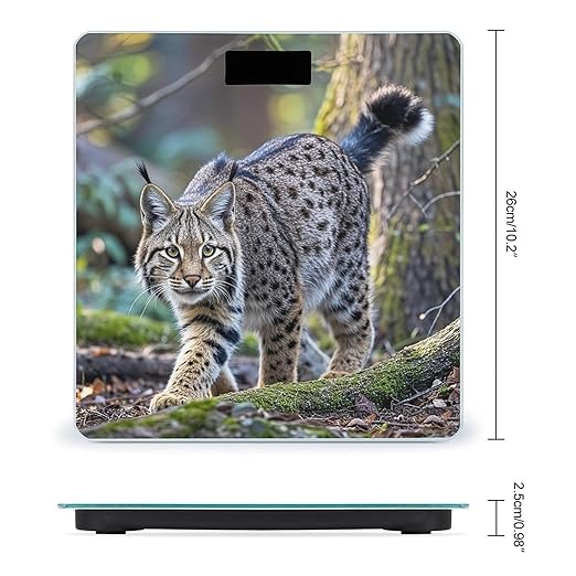Wild Bobcat Scale for Body Weight Smart Scales Digital Bathroom Scale High Precision Weighing Scales with Large Display Weighing Machine for People