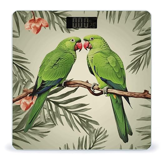 Couple Parrots Olive Bathroom Scale Automatic Power On/Off Body Scales LCD Backlight Display Square Digital Scale Rounded Corners Bathroom Scales for Home Bedrooms