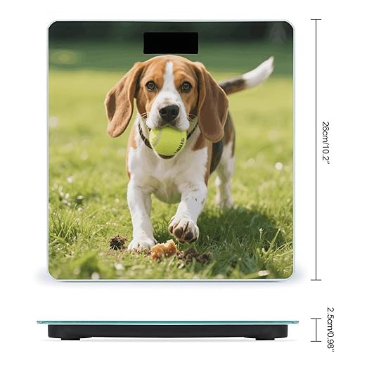 Play Hungry Beagle Dog Weight Scale Cute Bathroom Scale for Body Highly Accurate Digital Weighing Machine for People Compact LCD Display Scales with Sturdy Toughened Glass Scales