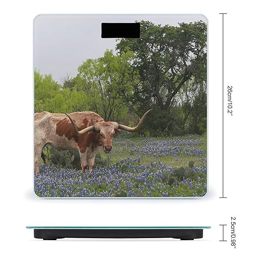 Longhorn Steer and Bluebonnets Scale for Body Weight Digital Bathroom Scale Precision Smart Weighing Scales with Clear LED Display Accurate High Precision Scales Weighing Machine
