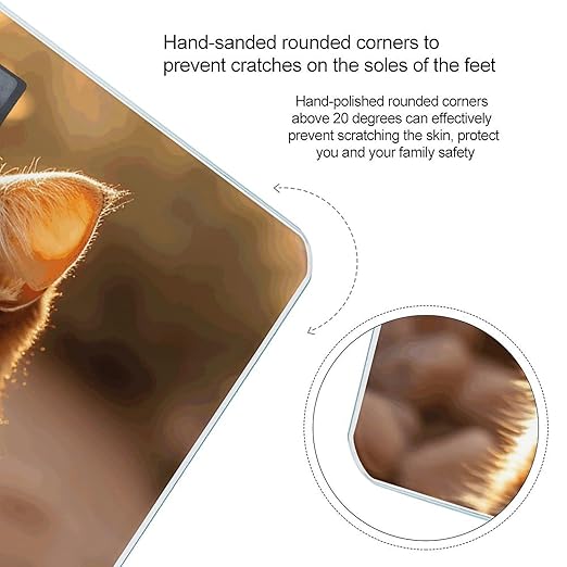 Cat Basking in The Sun Scale for Body Weight Anti-Slip Tempered Glass Digital Bathroom Scales Clear LCD Display Weighing Scale Safe Rounded Corners Smart Scales