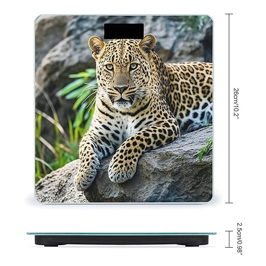 African Leopard on Rock Smart Scale for Body Weight Accurate Bathroom Scale with LED Display Digital Weight Scales Weighing Machine High Precision Scales for Bath Home