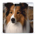 Shetland Sheepdog Bathroom Scale Large LCD Backlight Display Digital Scale Rounded Corners Body Scales Automatic Power On/Off Bathroom Scales for Home Bedrooms