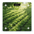 Green Colors Smart Scale for Body Weight Digital Bathroom Scale Toughened Glass Weight Scale with Large LCD Backlight Display High Precision Scales Weighing Machine