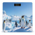Penguin Antarctica Ice Scale for Body Weight Accurate Digital Bathroom Scale Toughened Glass High Precision Scales Smart Weight Scales with Large LCD Backlight Display Weighing Machine