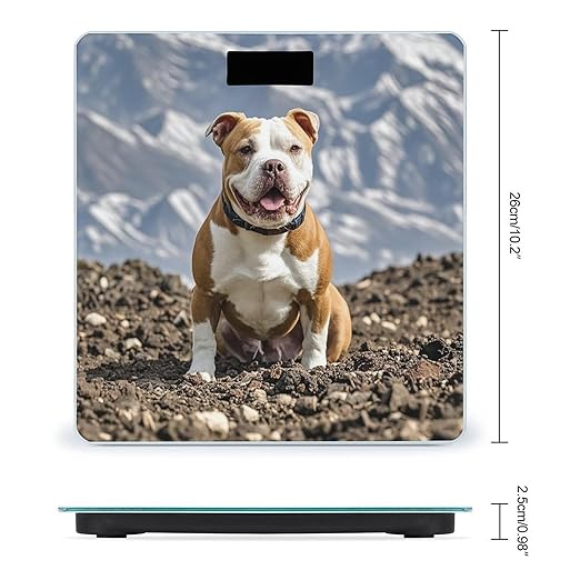 Pitbull Dogs Bathroom Scale Automatic Power On/Off Body Scales LCD Backlight Display Square Digital Scale Rounded Corners Bathroom Scales for Home Bedrooms