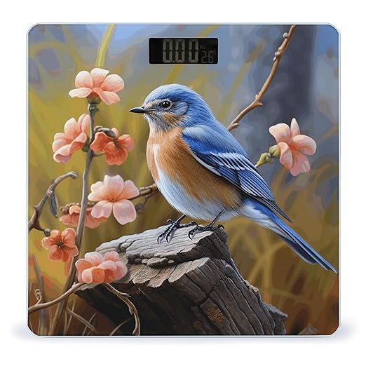 Eastern Bluebird Weight Scale Large Bathroom Scales Digital Weight with Bright LED Display Non Slip Automatic Weighing Scale Fashion Weighing Machine for Body