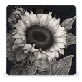 Sunflower Black Grey Scale for Body Weight Highly Accurate Digital Bathroom Scale Sturdy Tempered Glass Weighing Scales with LCD Display Fashion Body Fat Smart Scales 400lb