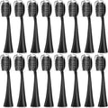 Replacement Toothbrush HeadsCompatible for Seago S9 S1 S6 S8 S21 S26 S28 SG540 SG860 SG861 SG986 SG987 SG988 2752(16pcs Black)