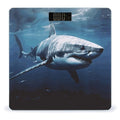 Great White Shark Bathroom Scale Automatic Power On/Off Body Scales LCD Backlight Display Square Digital Scale Rounded Corners Bathroom Scales for Home Bedrooms