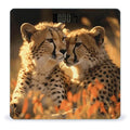 Cheetah Love Digital Bathroom Scale for Body Weight Weighing Scale with Backlit LCD Display High Precision Measurements &amp Measures Weight Up to 180kg