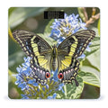 Nice Butterfly Scale for Body Weight Smart Scales Digital Bathroom Scale High Precision Weighing Scales with Large Display Weighing Machine for People